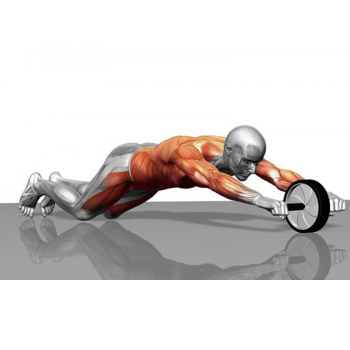 AbTrainer, edzőkerék párnázott fogantyúkkal - Image 9
