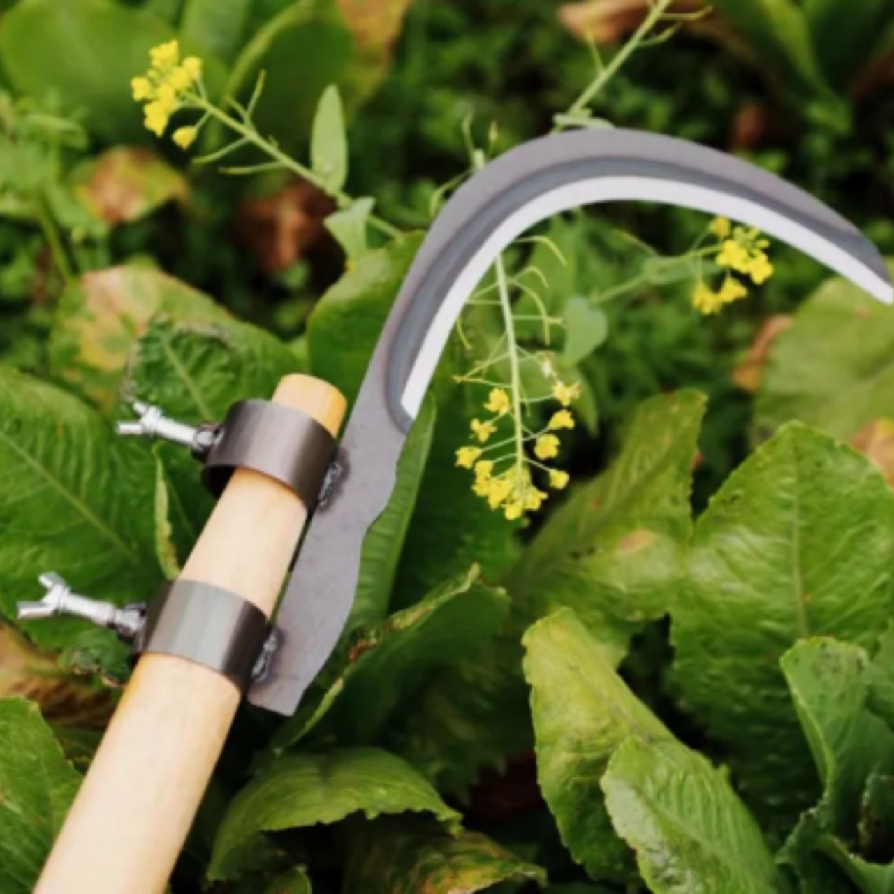AgroTool, Ág-, Gyom-, Tüske- és Növényvágó - Image 4