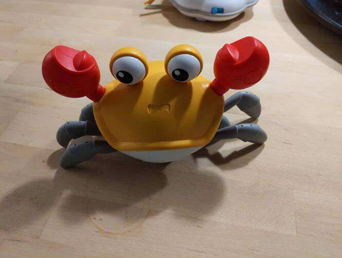 CrawlingCrab, egy interaktív rák, amely megmozdul, amikor közeledik valaki hozzá
