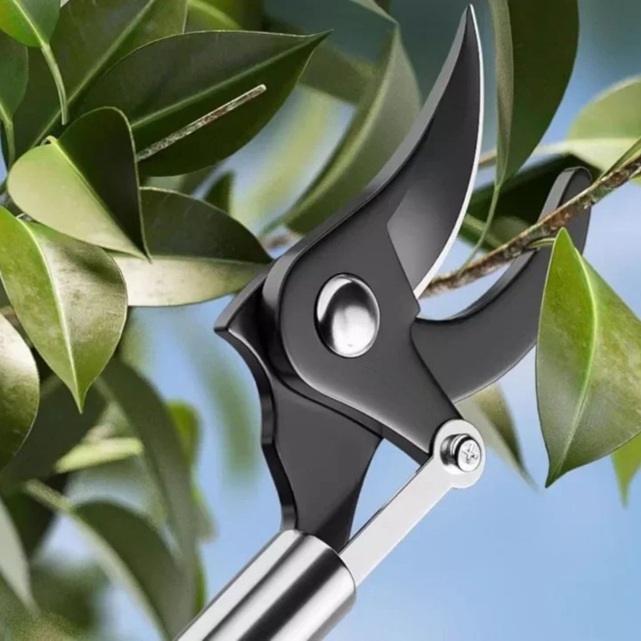 LongShears, ágvágók